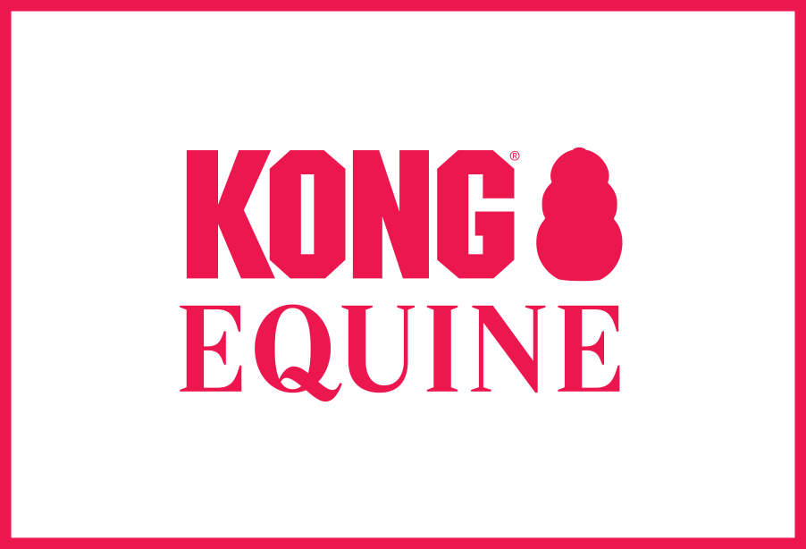 KONG Equine Classic Set KONG für Pferde
