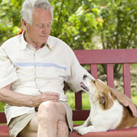 Alte Hunde brauchen besondere Pflege