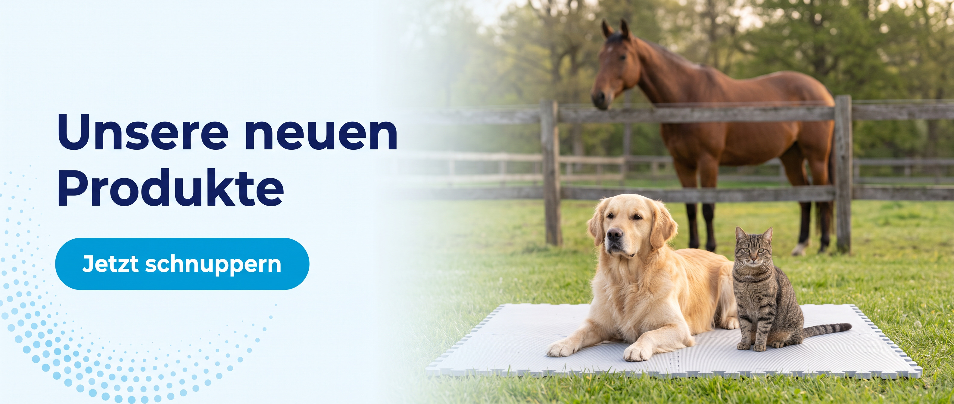 Wieder tolle neue Produkte bei Pet Physio