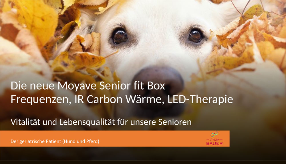 Moyave Frequenzboxen von Vinja Bauer title=