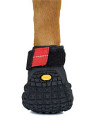 Hundeschuhe unten