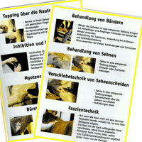 B�nder und Sehnen